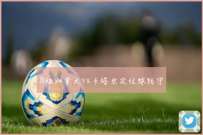 B组加拿大vs卡塔尔定位球防守
