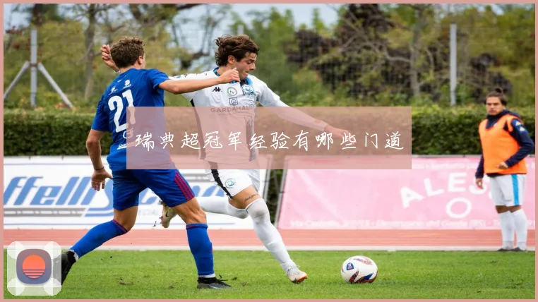 瑞典超冠军经验有哪些门道