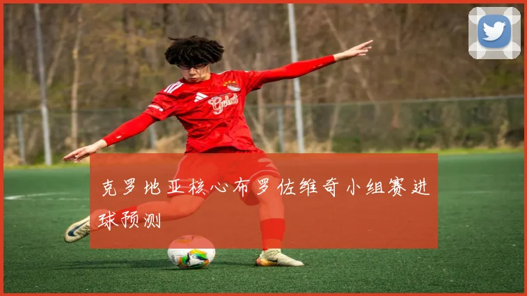 克罗地亚核心布罗佐维奇小组赛进球预测